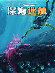 欧洲买nike便宜吗